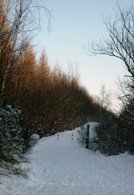 Winterwanderwaldweg