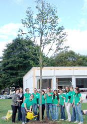 Einen Baum als Symbol für das Comenius-Projekt pflanzte die Projektgruppe am MGJ  Jülich um Schulgarten