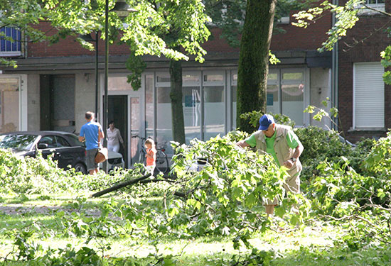 Die Jülicher packen schon mal selbst mit an.