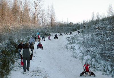 Rodel gut an der Sophinehöhe bei Güsten