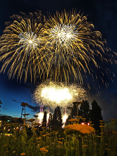 Flammendes Feuerwerk 2012