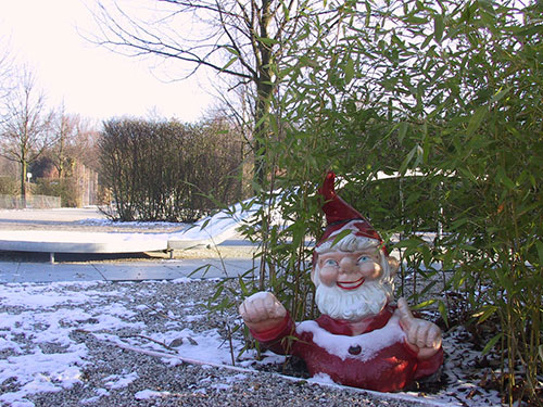 Winterfester Zwerg