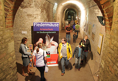 In den Tiefen des Schlosskellers gab es so manche Fledermaus zu entdecken. 
